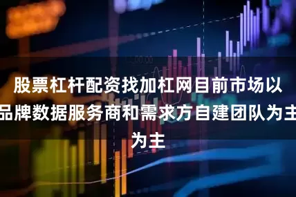 股票杠杆配资找加杠网目前市场以品牌数据服务商和需求方自建团队为主