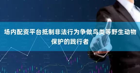 场内配资平台抵制非法行为争做鸟类等野生动物保护的践行者