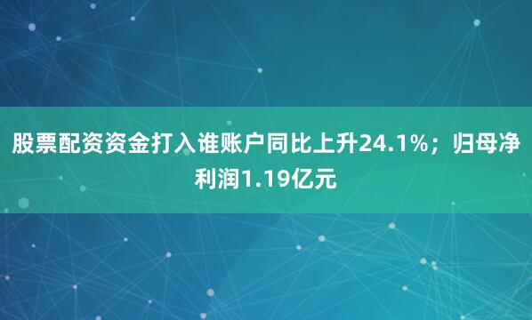 股票配资资金打入谁账户同比上升24.1%；归母净利润1.19亿元